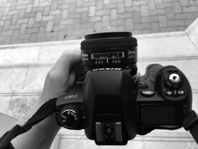 Eastern Gardens II , from the series ‘Eastern Gardens’