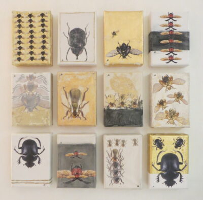 Jewels (Scintillating Roaches)
