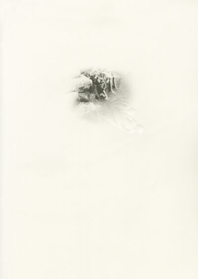 Shadow Series