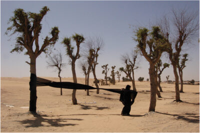 الممر/ الدخول