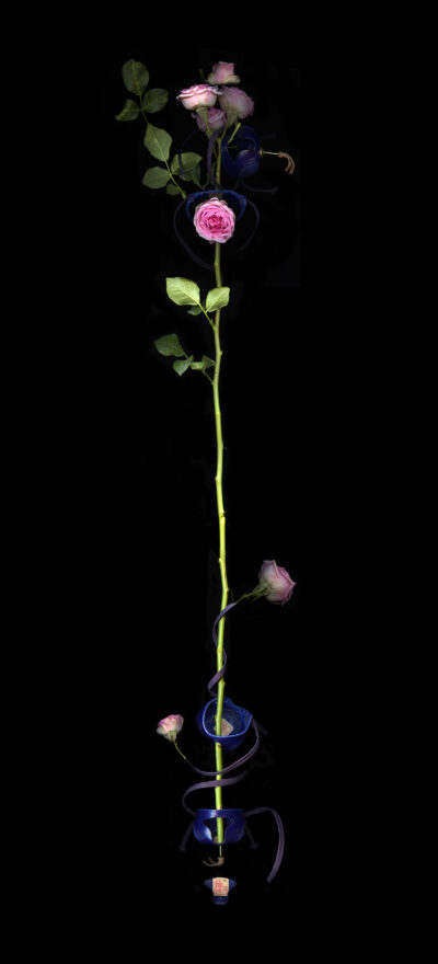 Growth