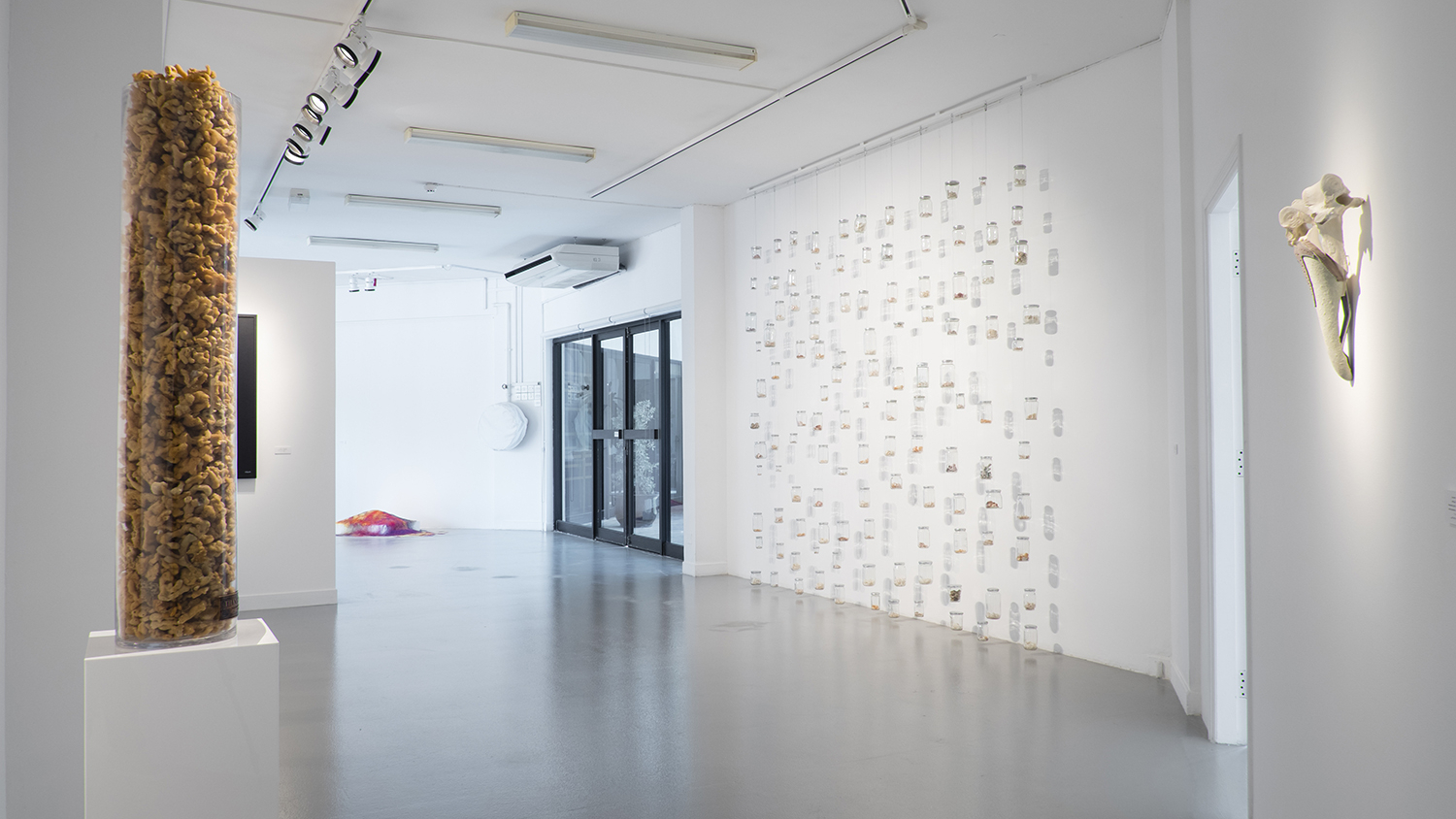 Sustaining Identity-41