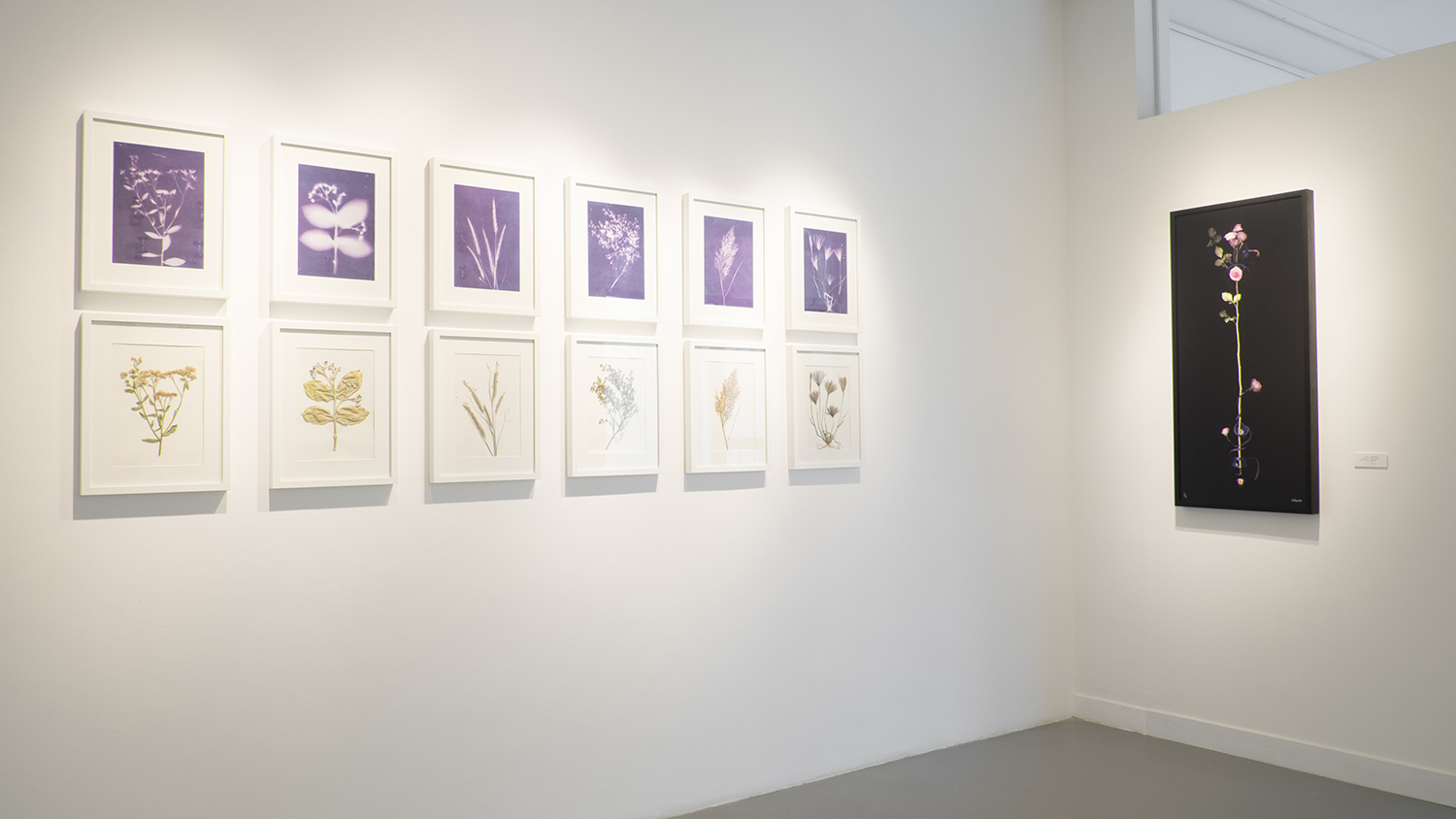 Sustaining Identity-50