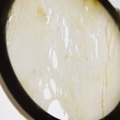 Stretched Skin Latex On Light Box (detail)
