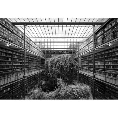 Museum Library, Temples of Culture series