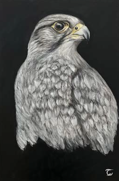 Falcon (2023)