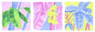 Banana Tree Branches 1, 2, 3 (2024)