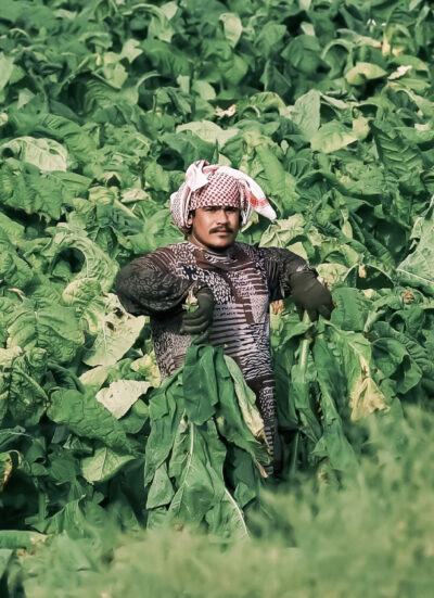 The Munay Farmer (2023)