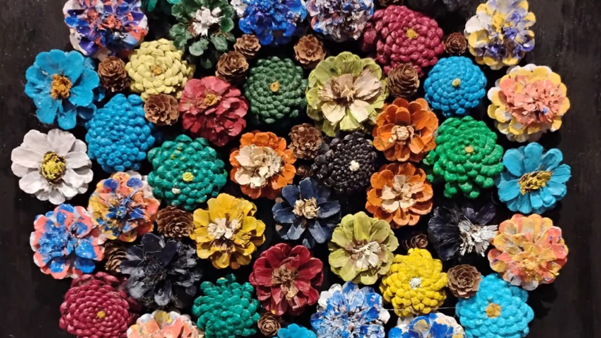 Sikka images banners 06