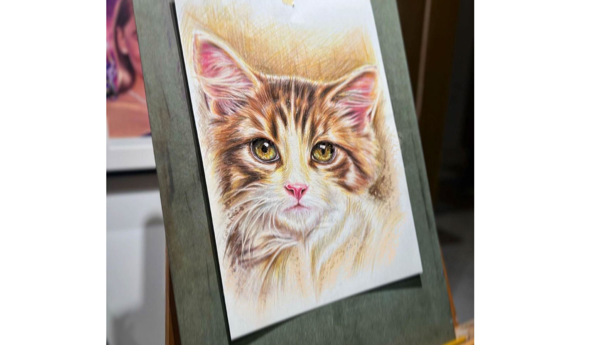 Pet portrait 01