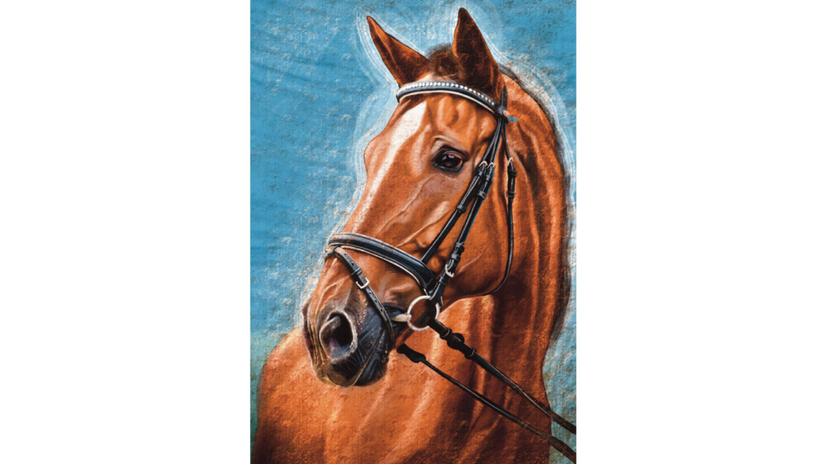 Pet portrait 02