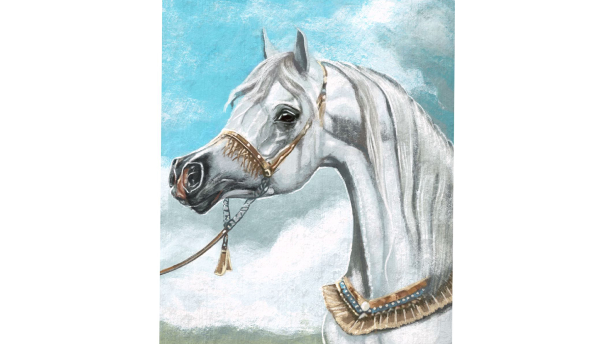 Pet portrait 03