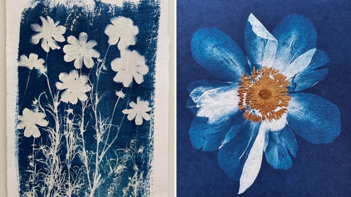 Cyanotype prints of wildflowers and a large flower – Botanical Cyanotype activity