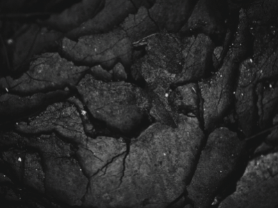  Charcoal3