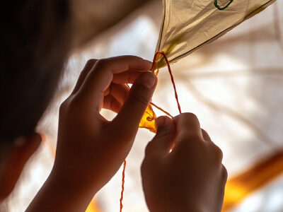 Kite 100