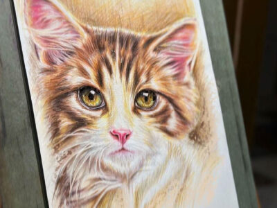 Pet portrait