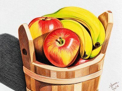 Coloured pencil drawing of fruit in a wooden basket – Coloured Pencil Drawing workshop