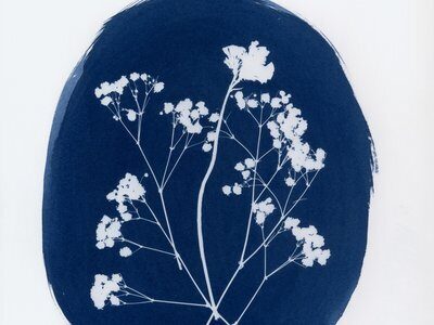 Botanical cyanotype print in Prussian blue – Cyanotype to Gum Dichromate course