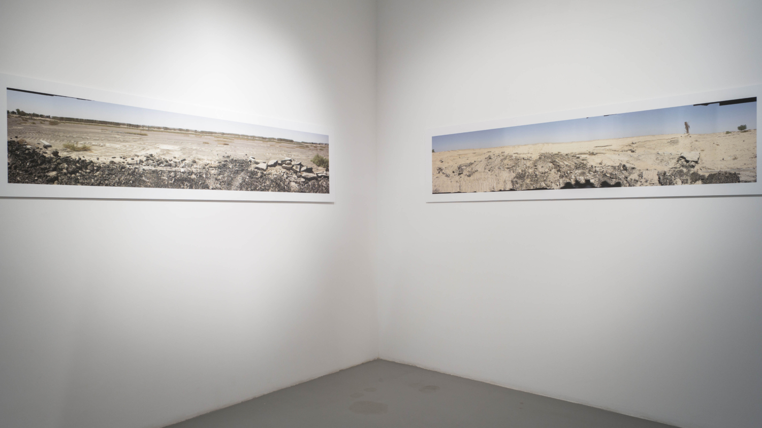 Connectivity 12 1500X750