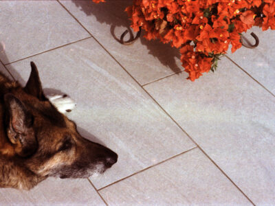Scan10576