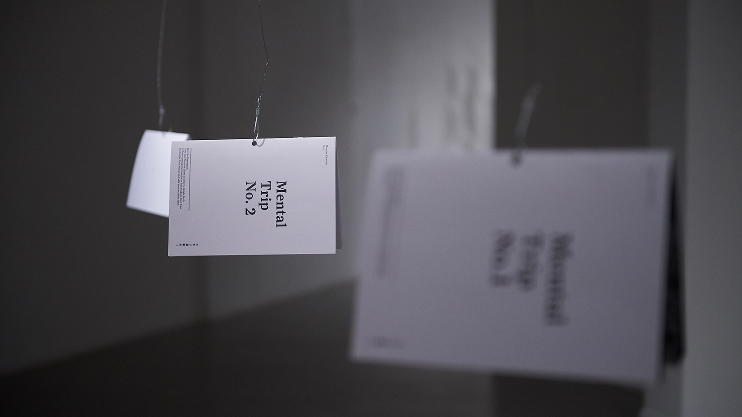 Tulip Memeory Excercises