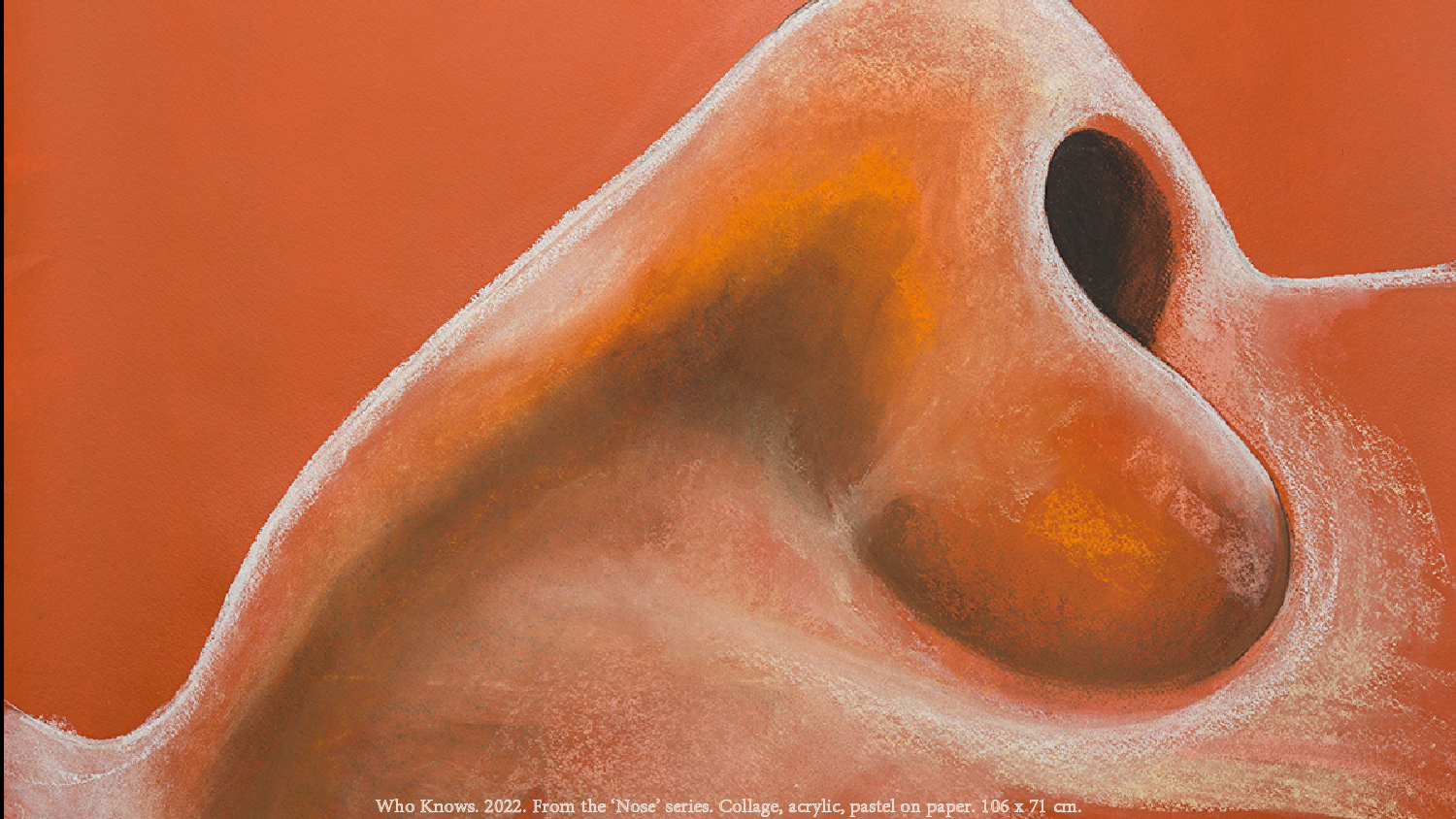 Nose 1
