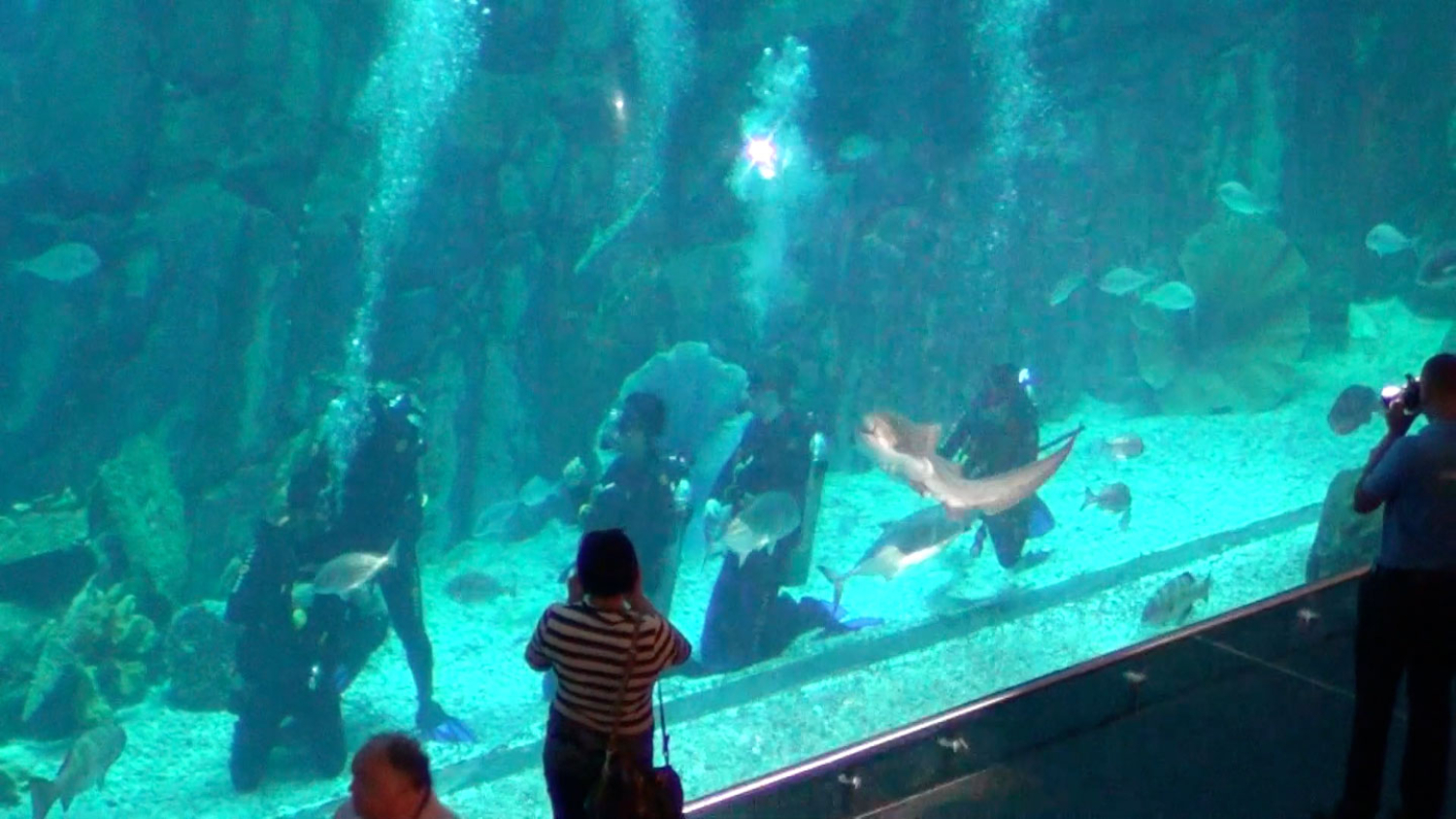 Dina-DanishLIVE-from-the-Aquarium-film-still2013The-artist-Delfina-Foundation-Dub-2