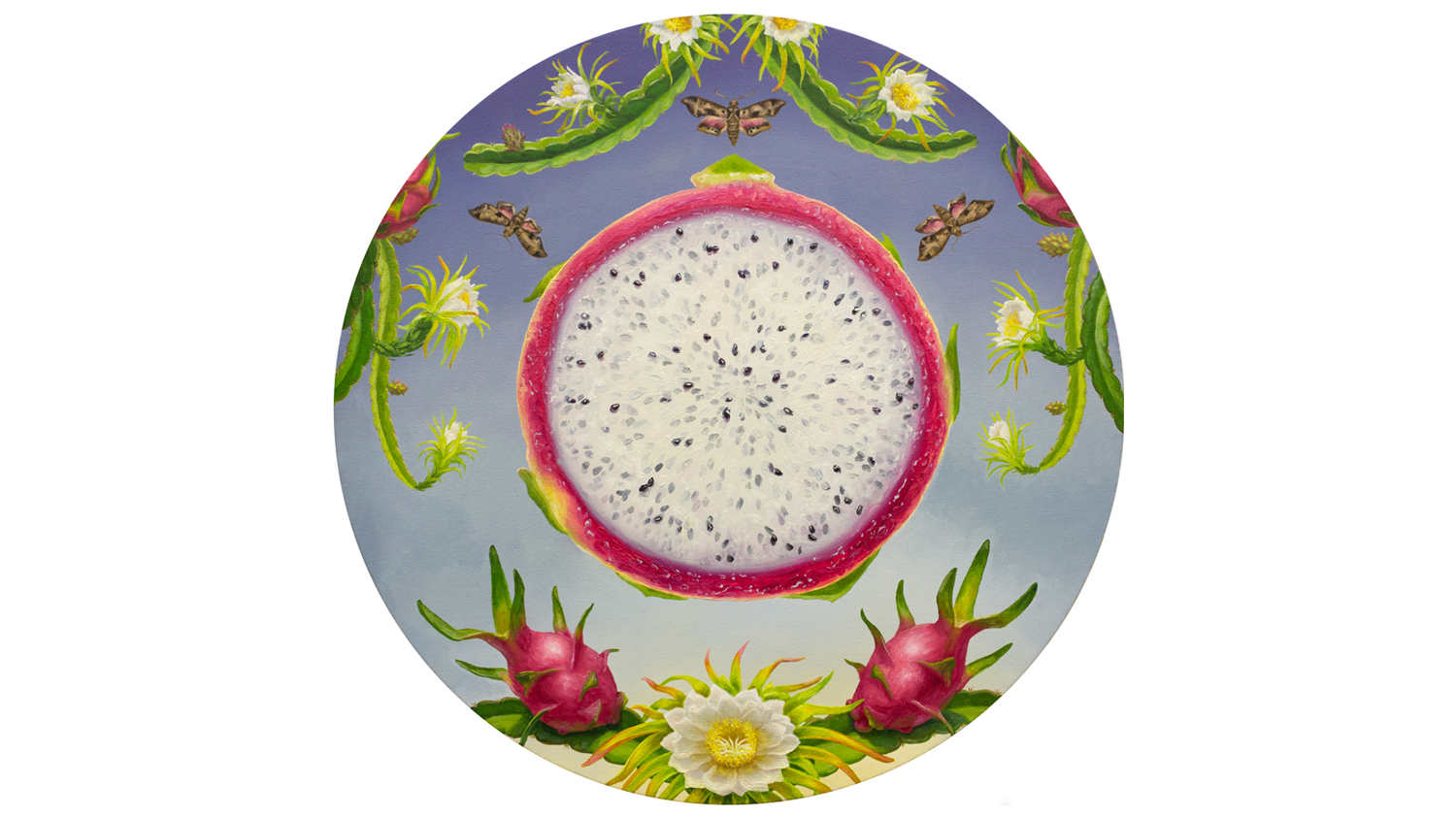 Call of the Dragon Fruit