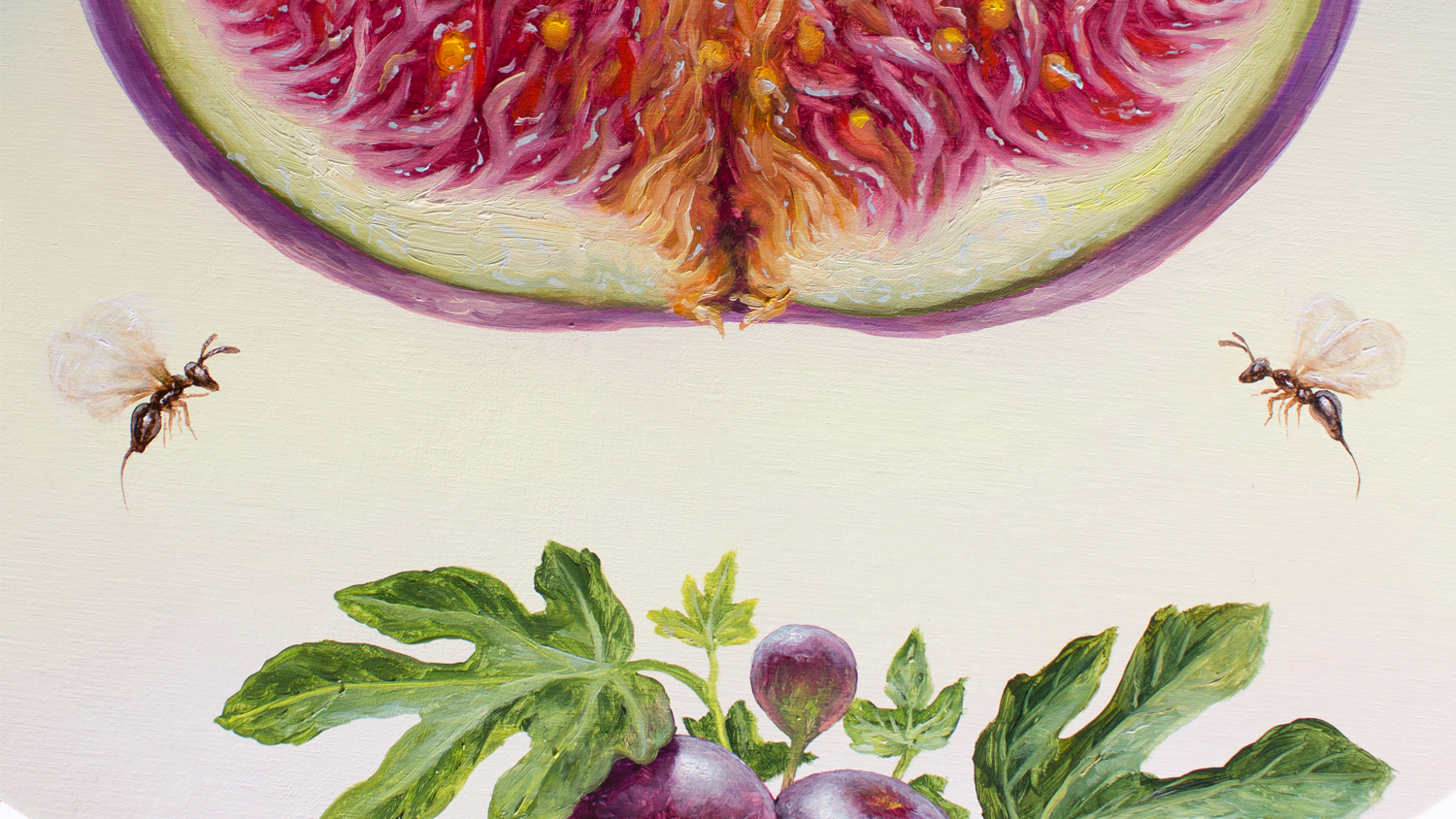 Call of the Fig Detail 2