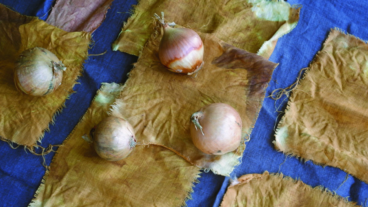 Vegetable dye 100
