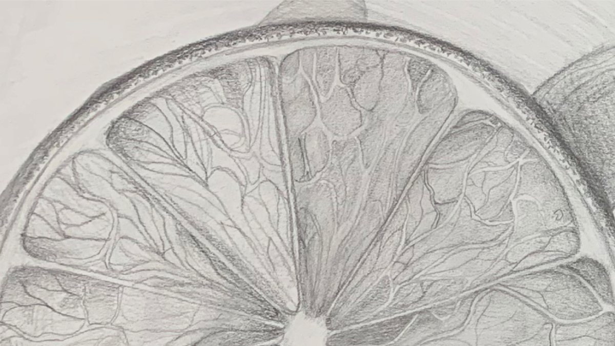 Drawing from Observation Zahra 3