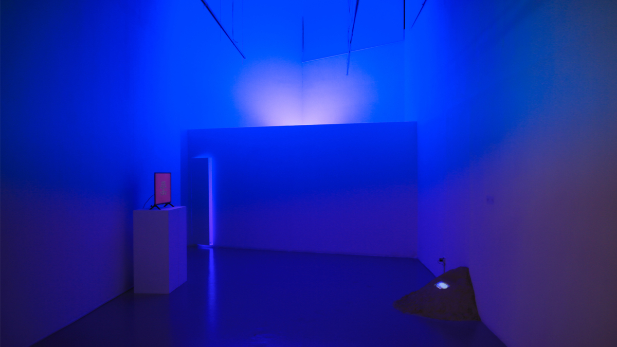Get me into a gallery 2