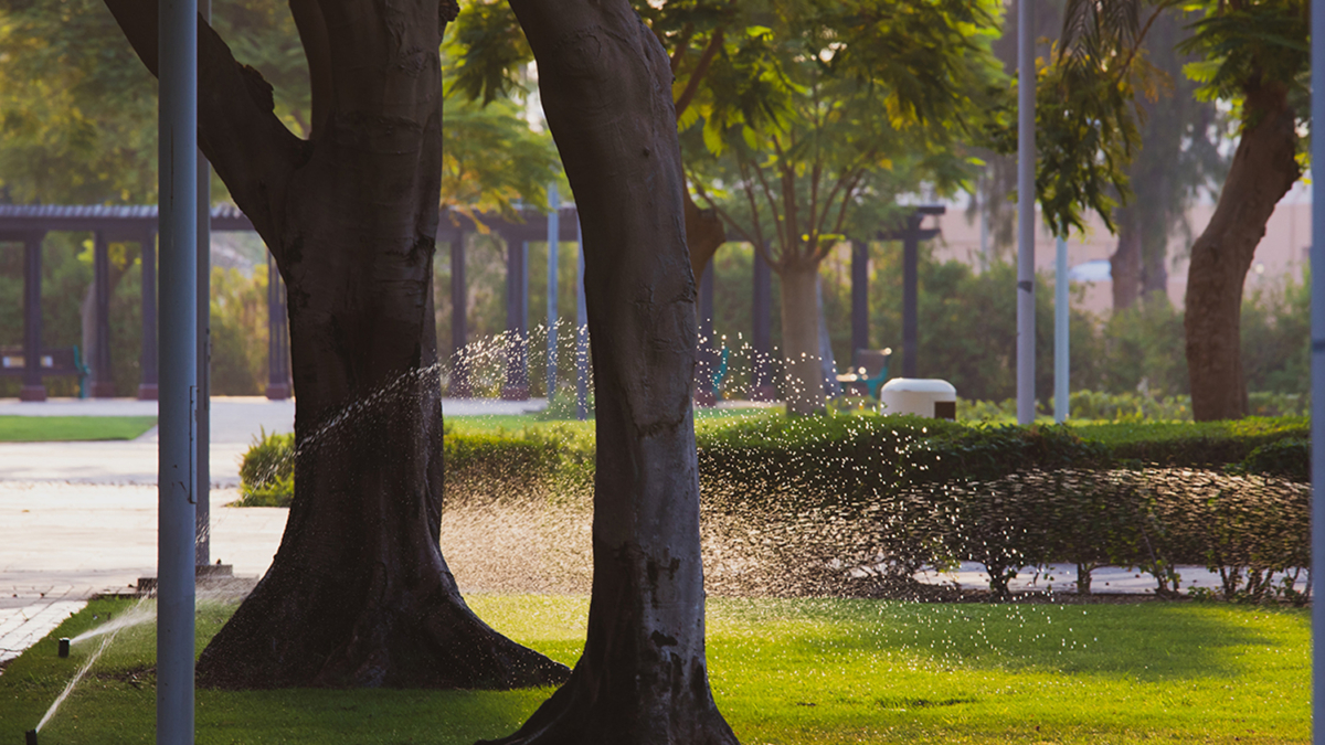 Water Fountain