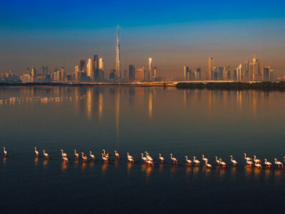  Ras Al Khor Reserve Mousa Al Raeesi 3