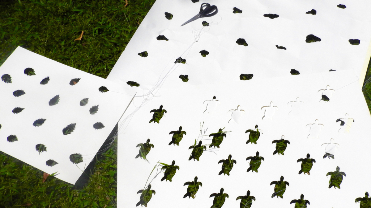 Garden Sails