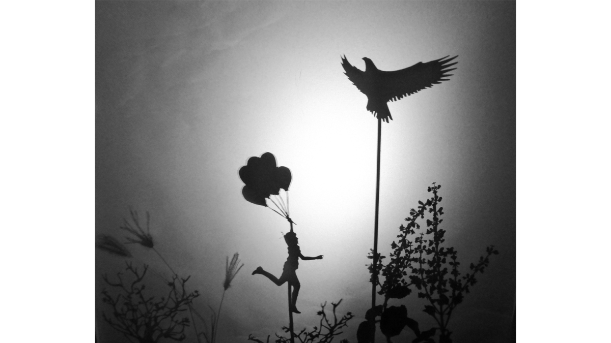 Shadow Play