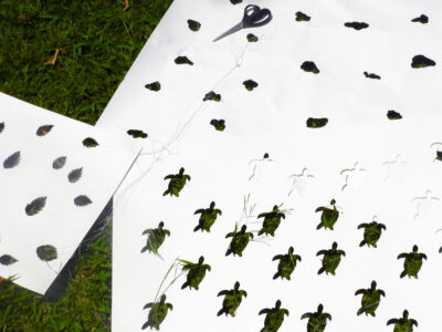 Garden Sails