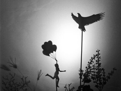 Shadow Play 400X300