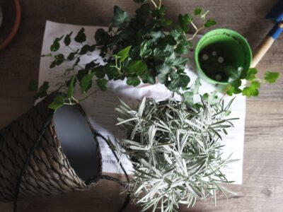Make A Planter Dubai Design Week 2019