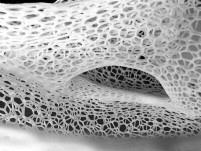  3 D structures 2