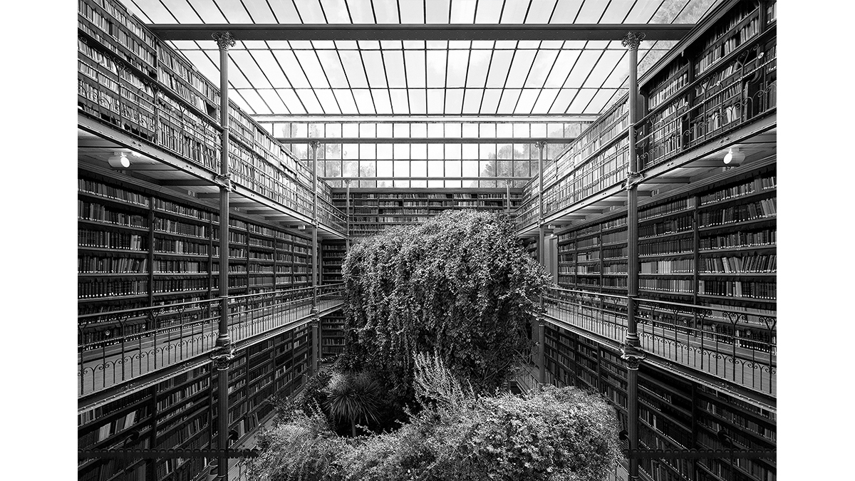 3 © Tanja Deman Museum Library