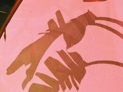 Shadow play2