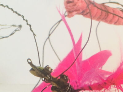  Wire Insects 1500X844